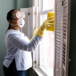 Pest Control Services: Ensuring a Safe and Clean Living Environment